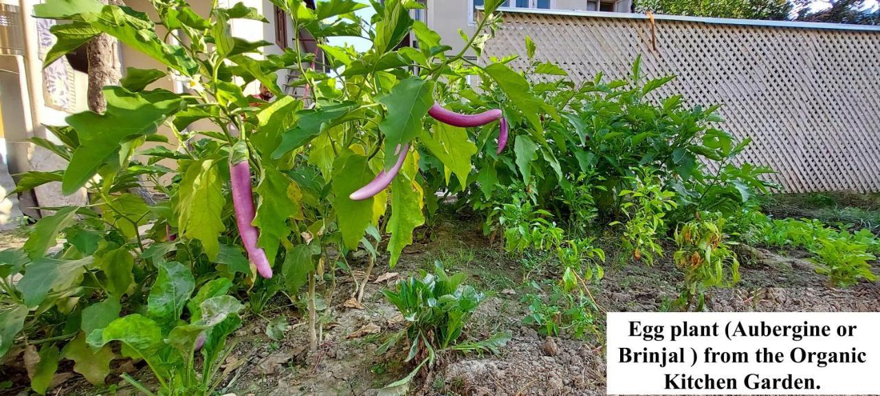 Ikraam Inn Bed & Breakfast Srinagar  Luaran gambar